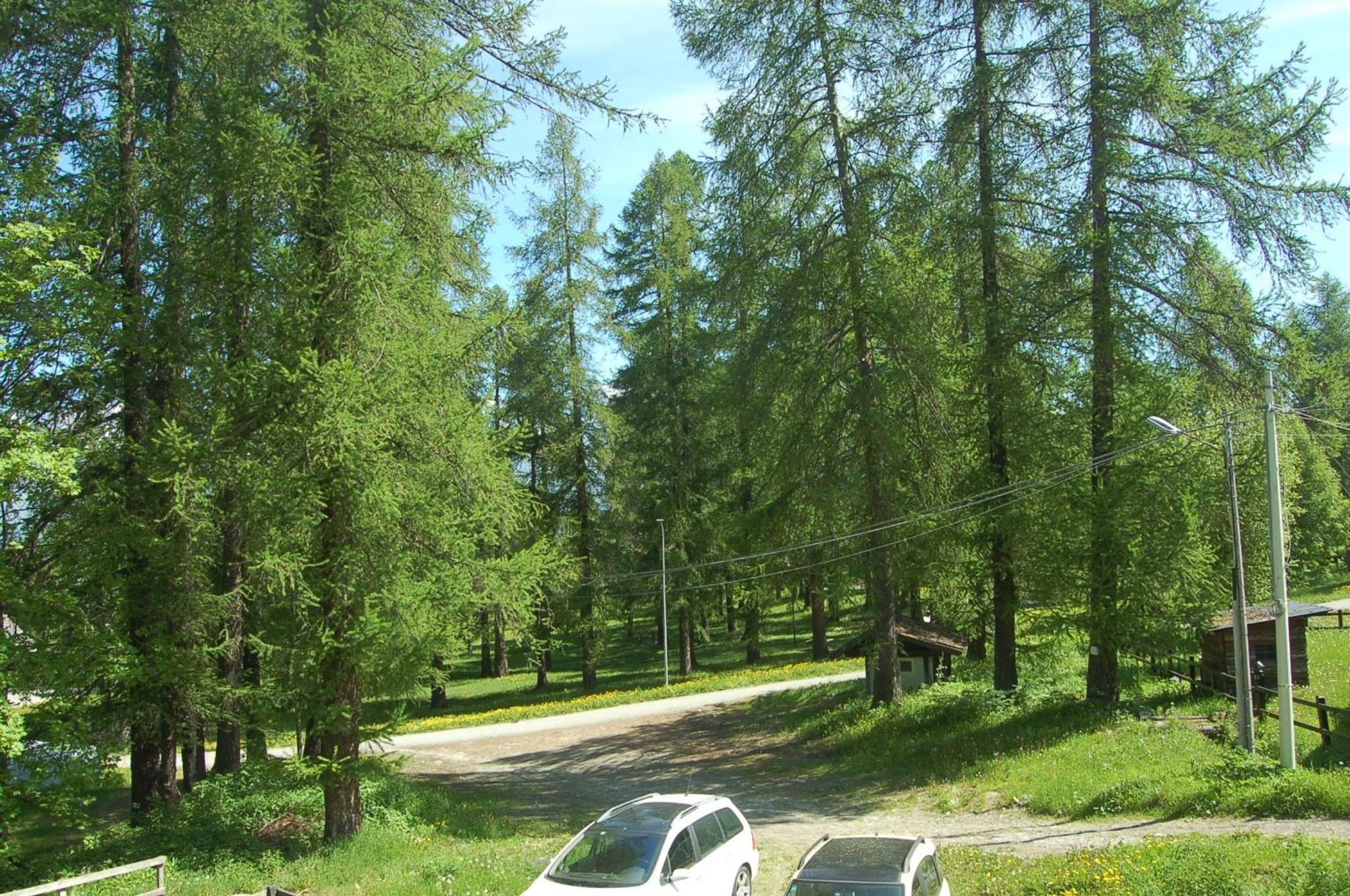 Montagna Che Passione Apartment Chiomonte ภายนอก รูปภาพ