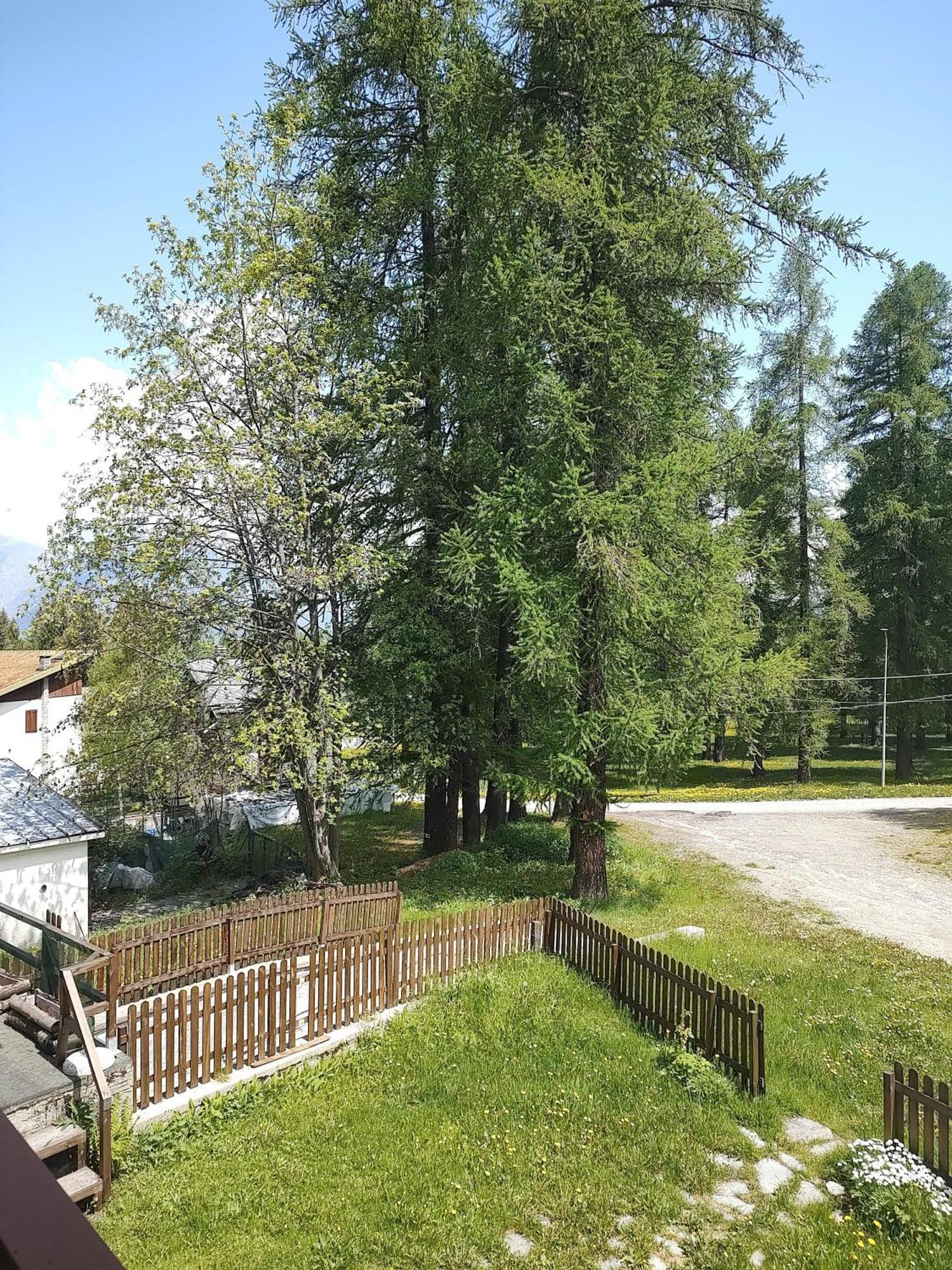 Montagna Che Passione Apartment Chiomonte ภายนอก รูปภาพ